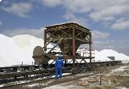 1月份兩堿工業鹽價格持穩運行